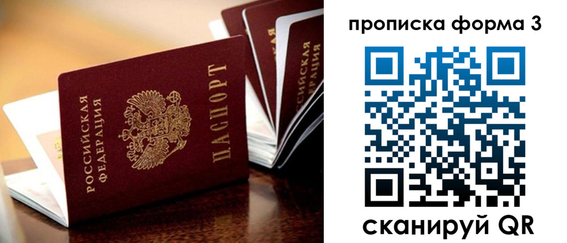 временная регистрация надежно в Палласовке